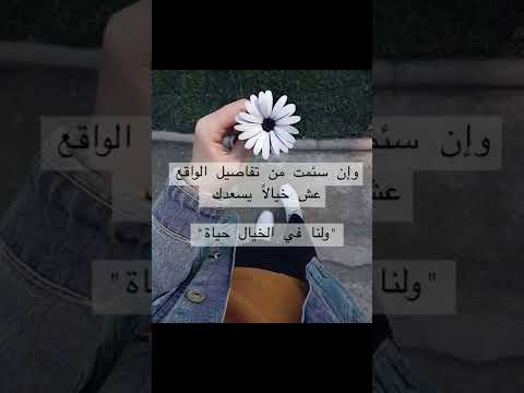 ولنا في الخيال حياة