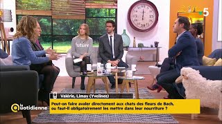 Les cas pratiques du 20 novembre - La Quotidienne