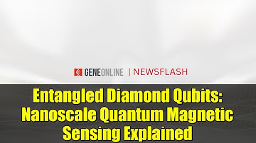 Entangled Diamond Qubits: Nanoscale Quantum Magnetic Sensing Explained
