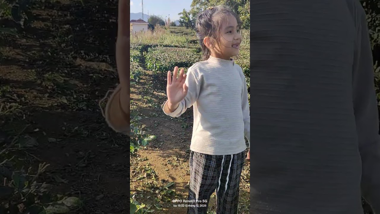 Lai Châu Thành phố 