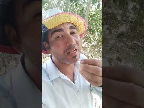 عيب عليك لما تبقي راجل كبير وعندك رجاله زي الورد وانت بتطلع منك كلام خايب يعني المشير