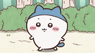 【公式】『ちいかわ』第305話「プリンリベンジ／また生え変わり」※1週間限定配信＜1/2 (金)AM7:59まで＞