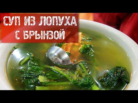 Видео рецепт Суп из крапивы с брынзой
