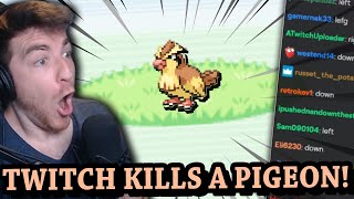 How fast can Twitch Chat KILL A PIDGEY in Pokemon FireRed?