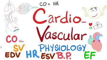 Cardiac Output, Stroke Volume, End systolic & End diastolic volumes, Ejection Fraction