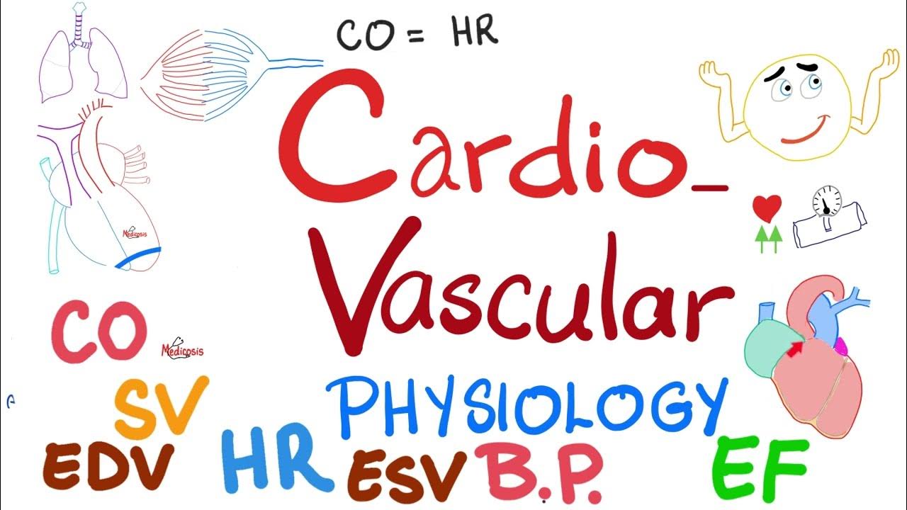 Cardiac Output, Stroke Volume, End systolic & End diastolic volumes