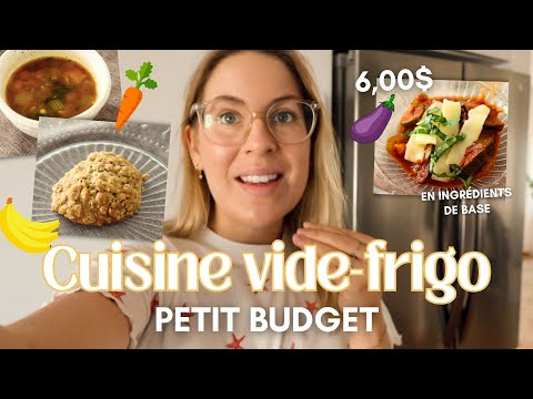 MEALPREP LOW BUDGET FRIDGE CLEANER Do More With Less