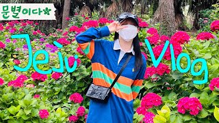 Moonbyul2Das Jeju Island Vlogwindmill 108 Pool Villa, Hallim Park, Family Trip In Jeju Island