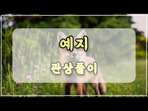 관상과학 ITZY 예지 관상 「여우상의 특징은…?」