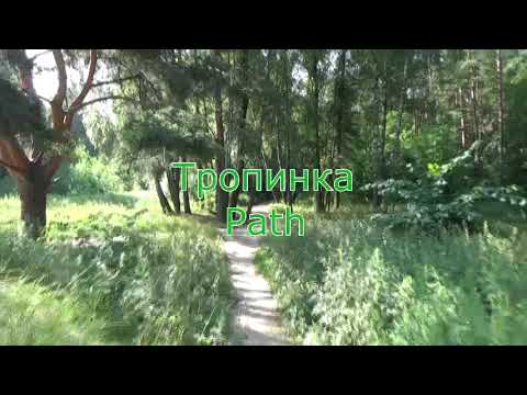 Тропинка Музыка Сергей Чекалин Path Music Sergey Chekalin