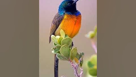 تلاوة خاشعة تأخذك إلى عالم آخر