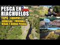 😲 Así pescamos TRUCHAS en pequeños RIACHUELOS!! 🎣