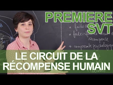 Vidéo: Le Cycle Des Récompenses Dans La Nature