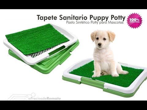 Víspera Opcional Torpe ✨ Tapete de Entrenamiento Puppy Potty baño Pasto ecológico para mascotas  aPreciosdeRemate - YouTube