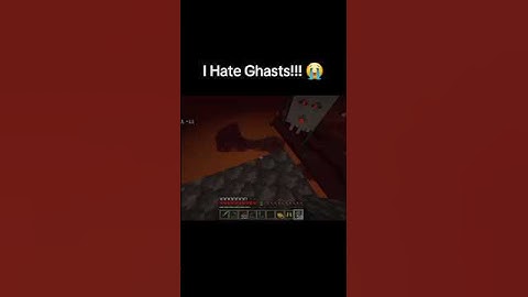 This is Why I Hate the Nether!!! #minecraft #gaming