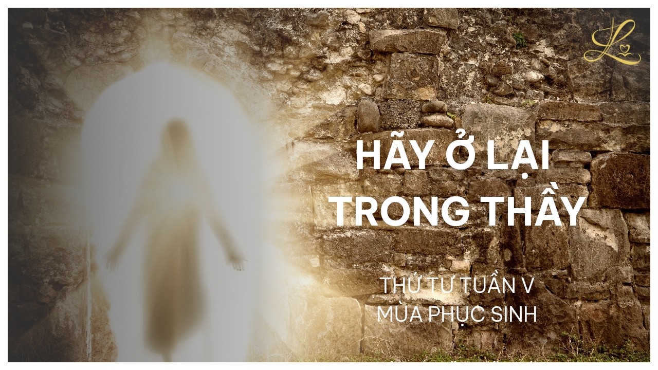 Hãy Ở Lại Trong Thầy - Thứ Tư Sau Chúa Nhật V Phục Sinh | Lm. Phaolô Cao Thế Bình, SDD