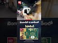 బెంగాల్‌లో 15 బూత్‌లలో రీపోలింగ్ | Repolling in Bengal | West Bengal Elections | BIGTV