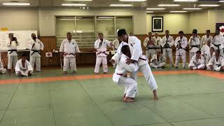 Nage-no-Kata - Ura-nage