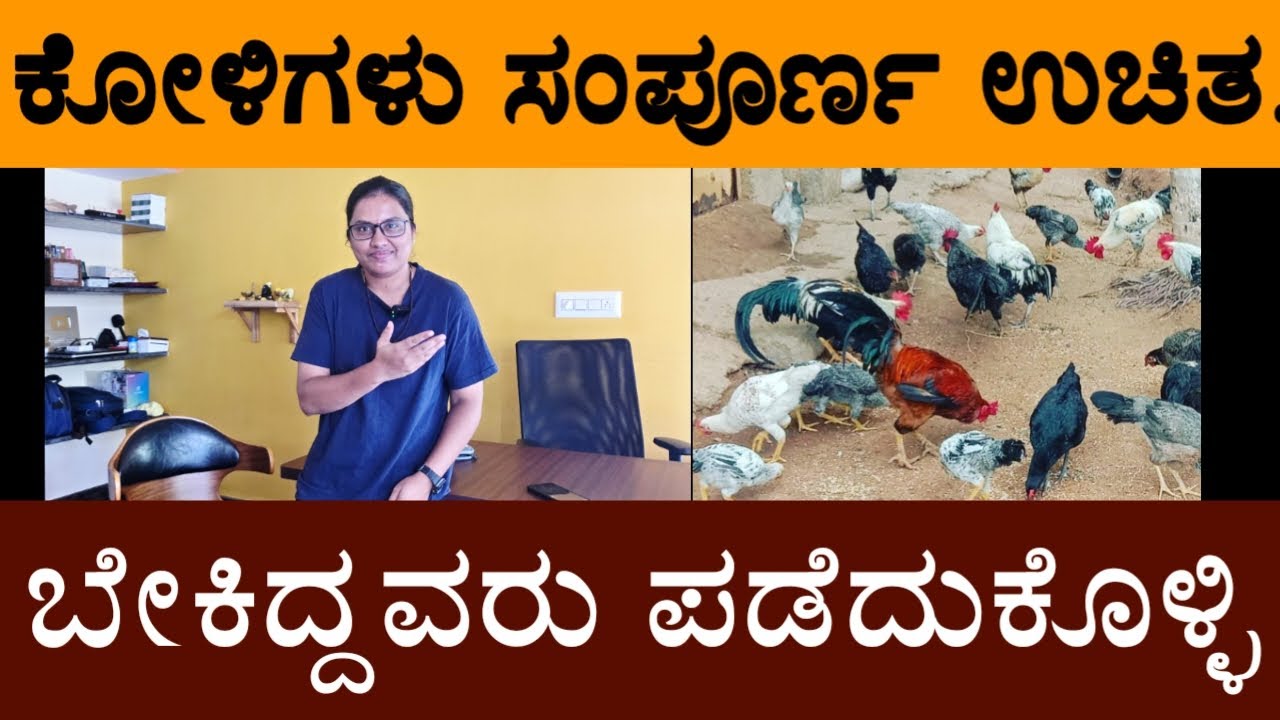 ಕೋಳಿಗಳು ಸಂಪೂರ್ಣ ಉಚಿತ.. ಬೇಕಿದ್ದವರು ಪಡೆದುಕೊಳ್ಳಿ..