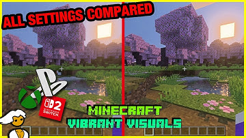 I Tested Every Setting Possible! - Performance issues in Minecraft Vibrant Visuals Update