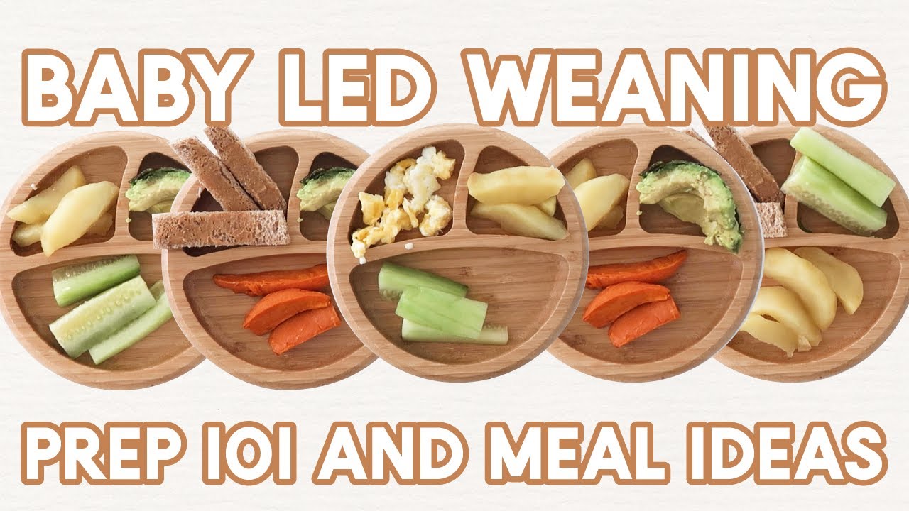 10 Recipes and Tips to Start Baby Led Weaning - Baby Led Feeding