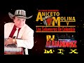 ANICETO MOLINA | MIX |