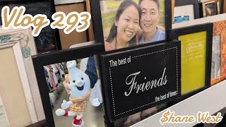 VLOG 293