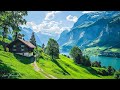 Beautiful Relaxing Music - Stop Overthinking, Stress Relief Music, Sleep Music, Calming Music #8