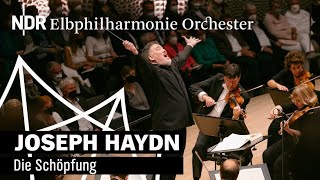 Haydn: 