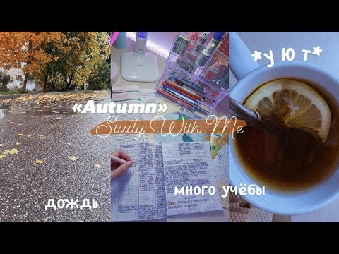 ОСЕННИЙ Учись Со Мной №8 | Подготовка к контрольным работам | Autumn Study With Me | Мотивация