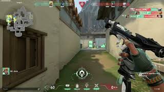 ECO DEU BOM !! ACE DE RAZE HAVEN !!