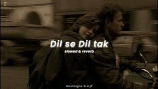 Dil se Dil tak | slowed & reverb | Varun, jahnvi | Nostalgia Era 🪐 #slowedandreverb #slowed #reverb