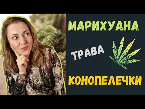 Що відбувається  з мозком, коли ви курите траву і чи провокує марихуана залежність?