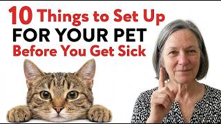 10 Things to Set Up for Your Pet Before You Get Sick