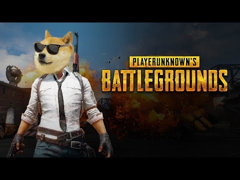 Собака стрим - новогодний расслабон в pubg - Собака стрим - новогодний расслабон в pubg