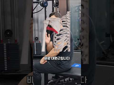 등 운동할 때 광배근 자극이 잘 안 온다면 #등운동 #광배근운동