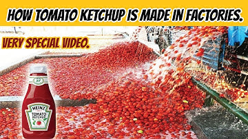 How Tomato Ketchup Is Made | How It