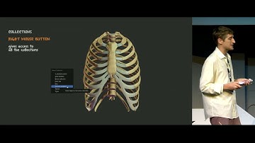 Z-Anatomy: The open source 3D atlas of human anatomy