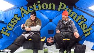 Fast Action Panfish on the Mississippi River Backwaters