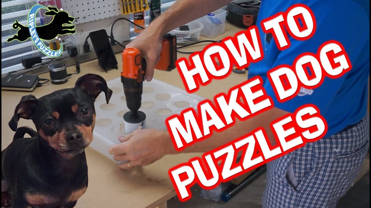 DIY: Make Puzzle Toys for Your Dog Using Recycling — Tails of Connection -  How to connect with my dog, online dog training, strengthen your bond, dog  owners