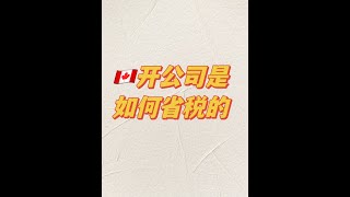 在加拿大开公司是如何省税的