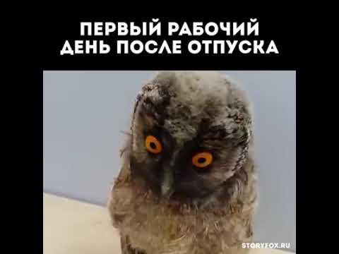 Пин от пользователя Наталья на доске Прикол в 2023 г Веселые картинки, Юмор, Отп