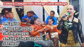 Download Lagu Kapilut - bocah gunung - omprengan - eling eling - tlutur calung campursari wahyu citra budaya MP3