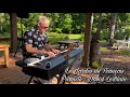 Le jardin de franois chanson du pianiste david leblanc