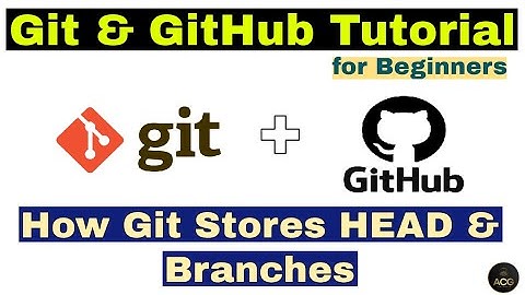 #13 - Git & GitHub Tutorial for Beginners -  How Git stores HEAD and Branches