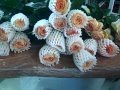 Cutting, grading bunching and packing garden roses.