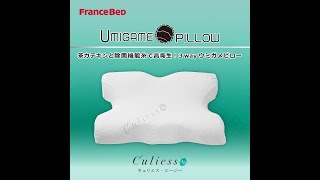 フランスベッド（FRANCEBED） 正規品 枕 ウミガメピロー | 仰向け寝