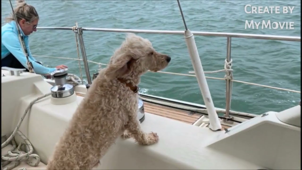 Sailing Jaygo intro