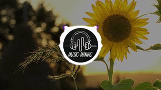 Daniel Liebt - Cruel Summer (Remix)