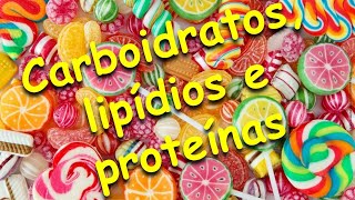 Carboidratos, lipídios e proteínas.